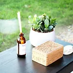 Modern Design House With Sauna 'arduenna Silva' Ла-Рош-ан-Арден